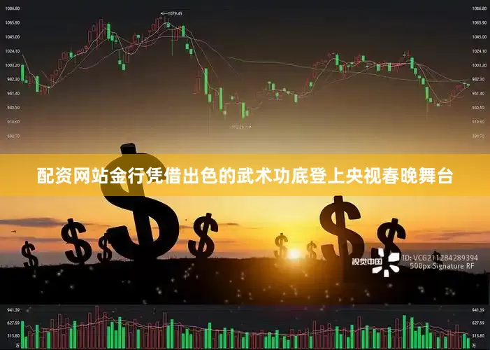 配资网站金行凭借出色的武术功底登上央视春晚舞台