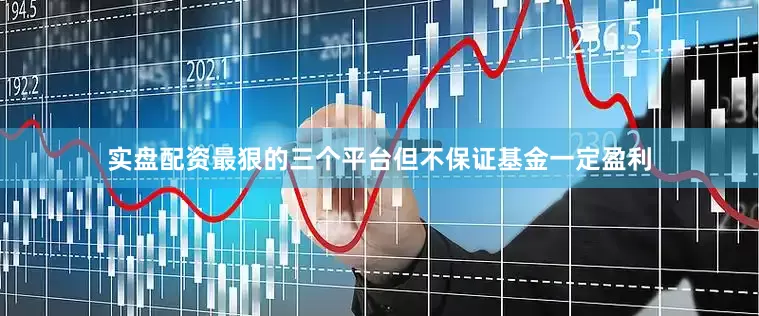实盘配资最狠的三个平台但不保证基金一定盈利