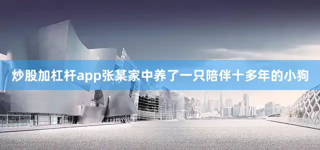 炒股加杠杆app张某家中养了一只陪伴十多年的小狗