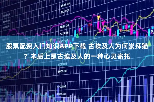 股票配资入门知识APP下载 古埃及人为何崇拜猫？本质上是古埃及人的一种心灵寄托
